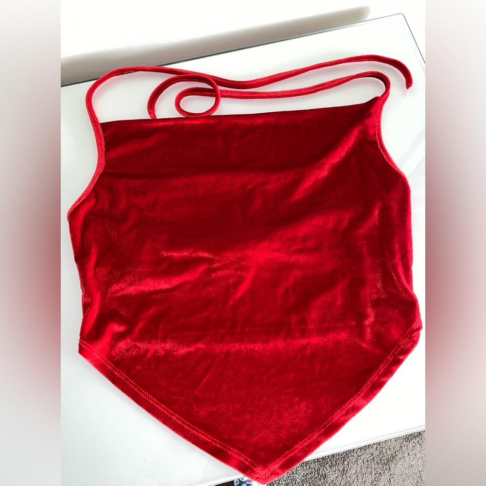 Red Velvet Top - Picture 3 of 4